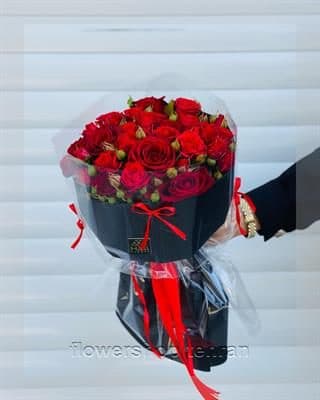 سفارش قیمت انواع گل سانسوریا با ارسال سریع و بسته‌بندی شیک