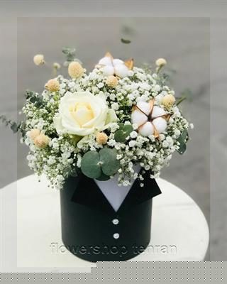 گیاه خانگی مقاوم با گل‌های تازه و دیزاین حرفه‌ای
