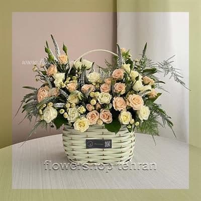 نام گلهای آپارتمانی مقاوم برای خوشحال کردن عزیزانت در هر مناسبتی