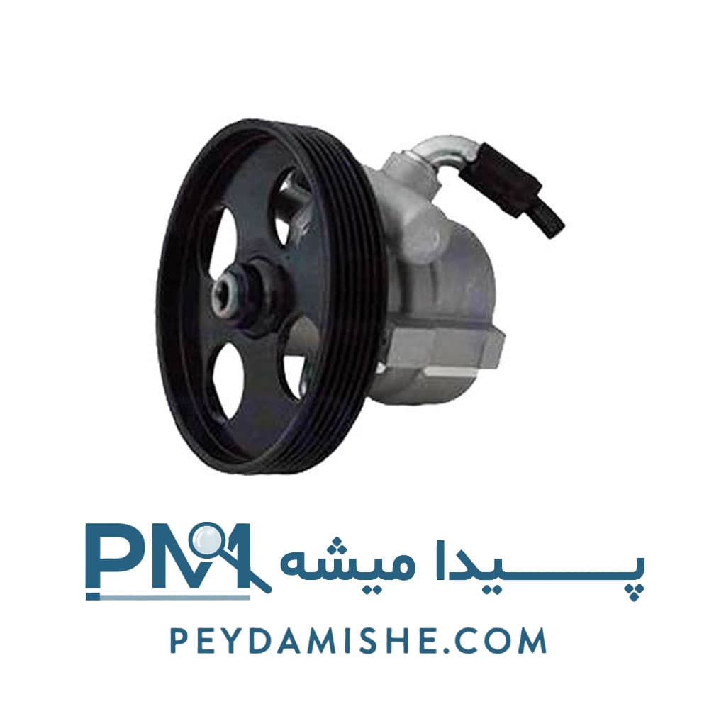 پمپ فرمان هیدرولیک پارس (R2) برند امیرنیا — تصویر ۳