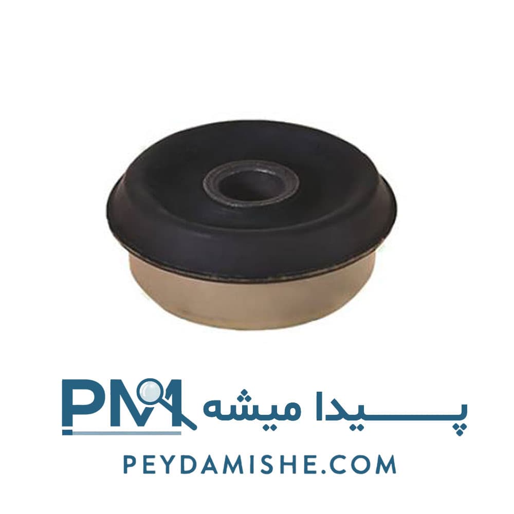 بوش اکسل عقب کایوچویی ( لاستیک پلاستیک ) 405 برند امیرنیا