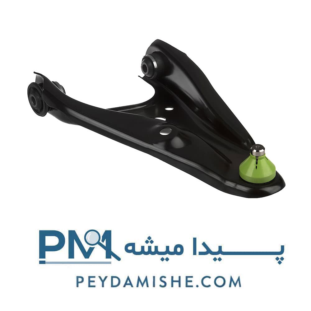 طبق کامل ساندرو برند امیرنیا