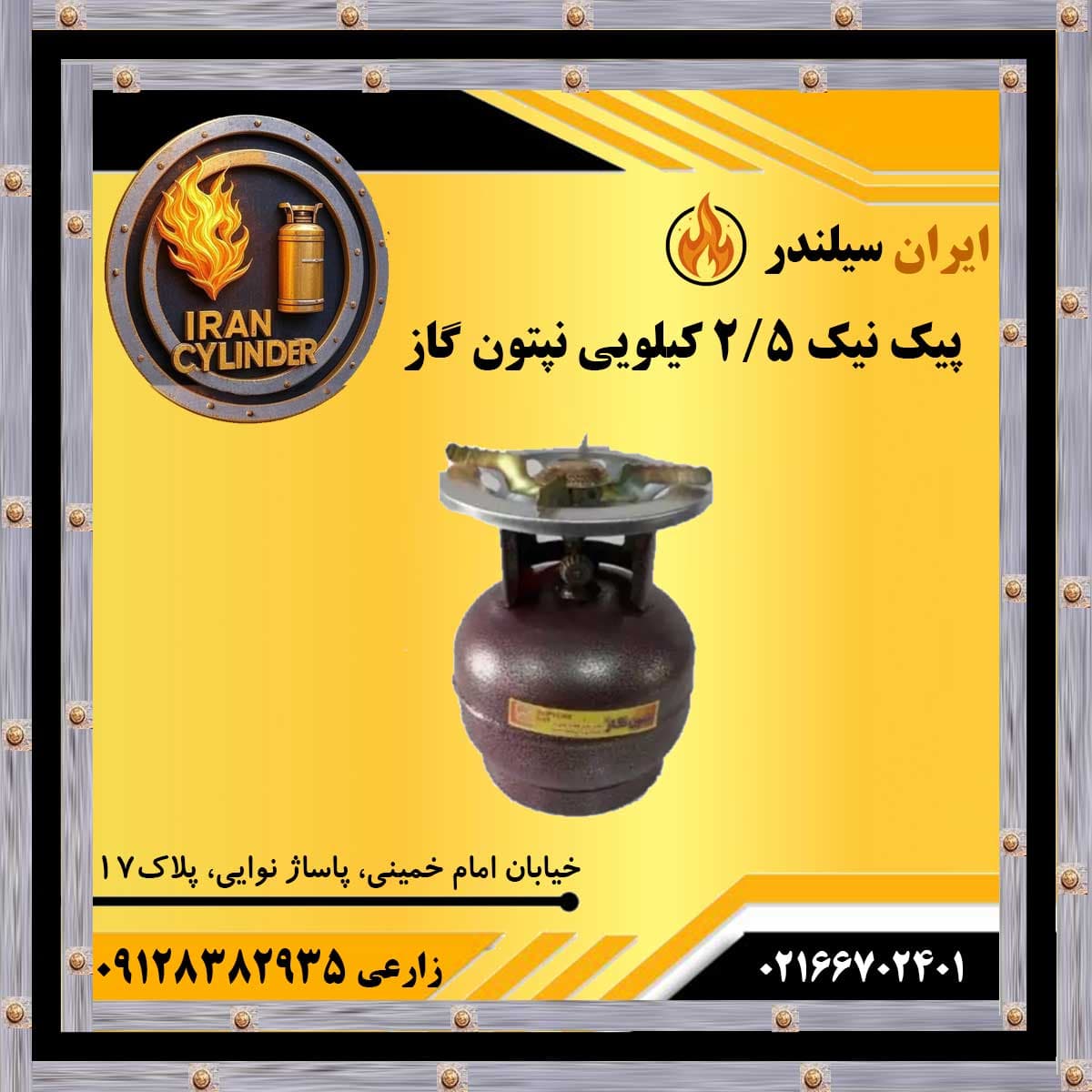 پیک نیک 2.5 کیلویی نپتون گاز