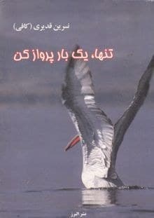 کتاب تنها یک بار پرواز کن | دانلود | کتاب خوان