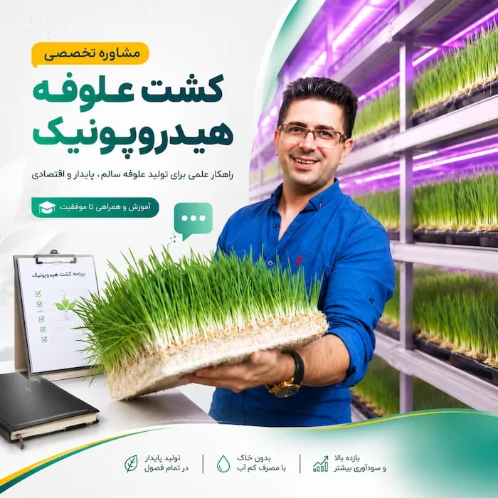 آموزش و مشاوره کشت علوفه هیدروپونیک