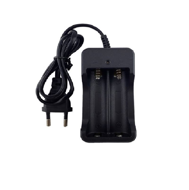 شارژر اتوماتیک باتری 18650 مدل ZJ-3009