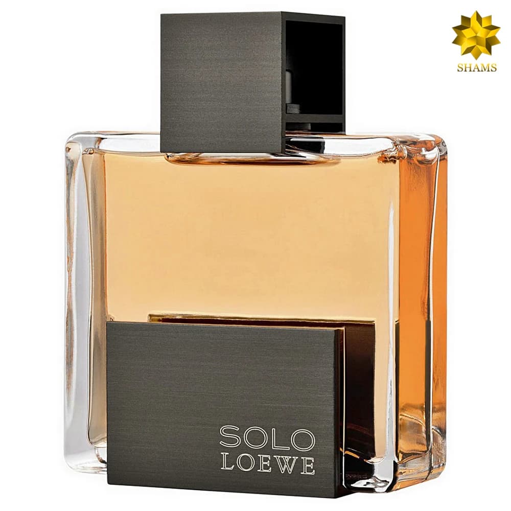 Loewe Solo Loewe Edt 125ml