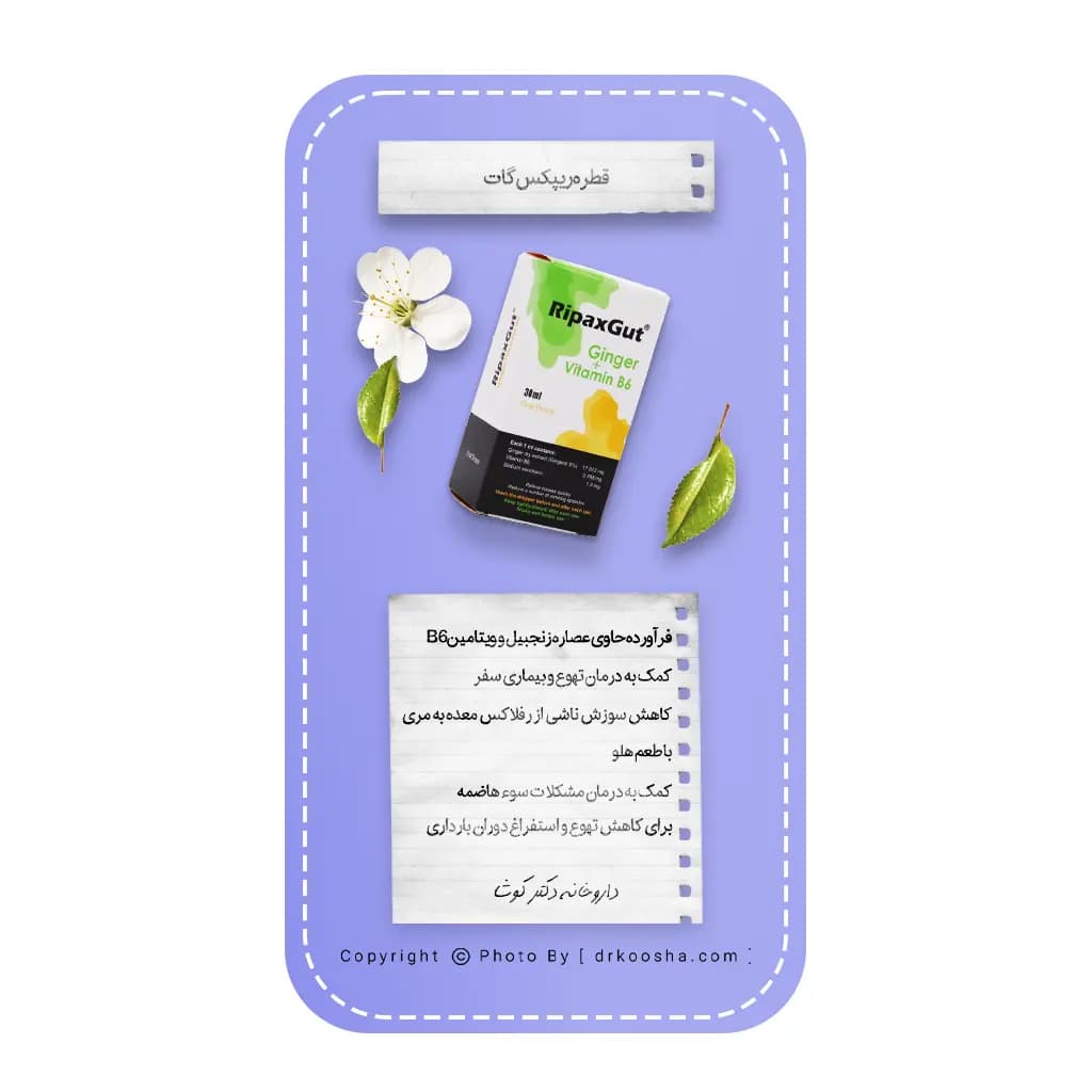 قطره ریپکس گات خوارزمی 30 میلی لیتر — تصویر ۶