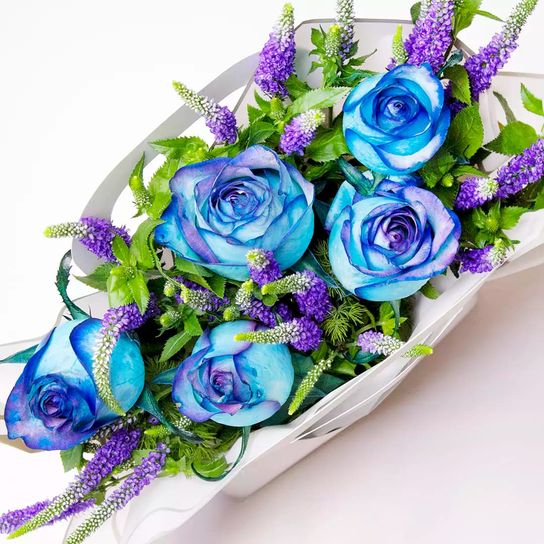 باکس گل رز آبی و ورونیکا کد 19307|باختر