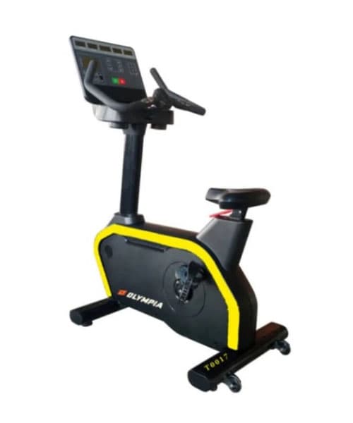 دوچرخه ثابت ایستاده باشگاهی المپیا مدل T0017