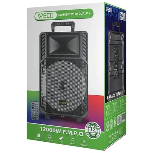 اسپیکر ویکو WeS100 Singel 12 inch — تصویر ۱۲