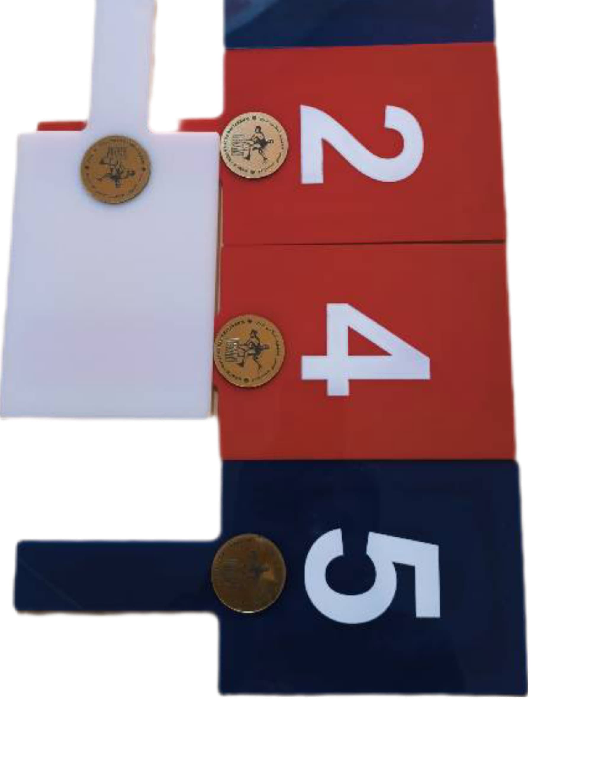 ست کامل ۲۲ عددی راکت داوری کشتی | کیفیت درجه یک مطابق استانداردهای فدراسیون و UWW — تصویر ۶