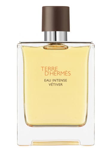 ادکلن تق هرمس وتیور اورجینال Terre D’Hermes Eau Intense Vetiver Hermès for men