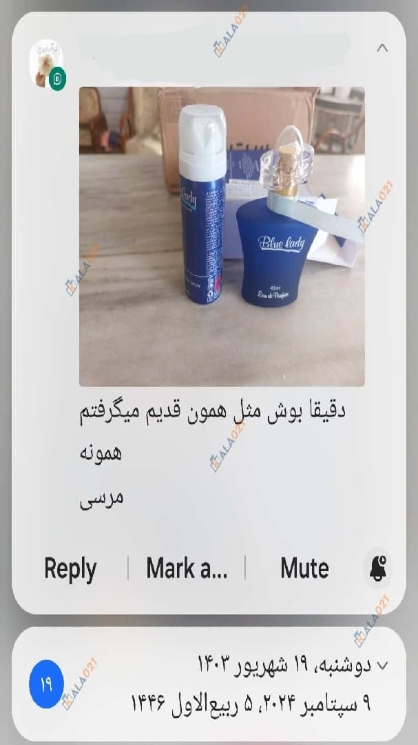 ادکلن بلو لیدی اصل زنانه قدیمی Rasasi Blue Lady Eau de Parfum با اسپری — تصویر ۳
