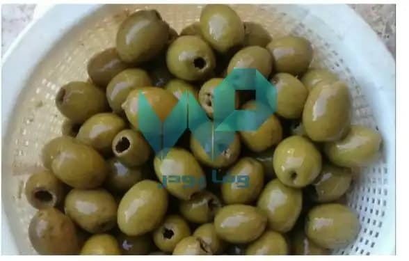 زیتون بی هسته — تصویر ۷