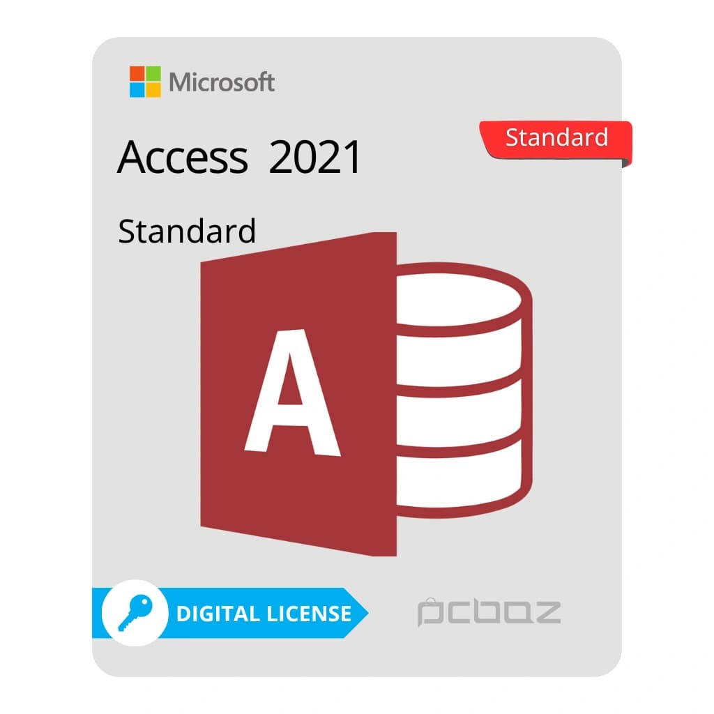 لایسنس اکسس 2021 Standard — تصویر ۴