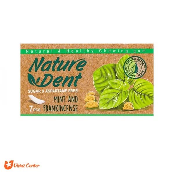 آدامس بدون شکر Nature Dent با طعم نعناع 7 عددی