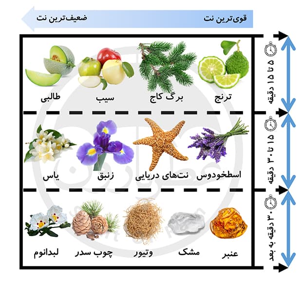 اسپری مردانه پلیس کانتمپورری حجم 200 میلی‌لیتر — تصویر ۷