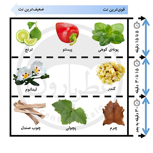 ادوپرفیوم زنانه-مردانه رپلیکا کلاب بازار حجم 100 میلیلیتر — تصویر ۹