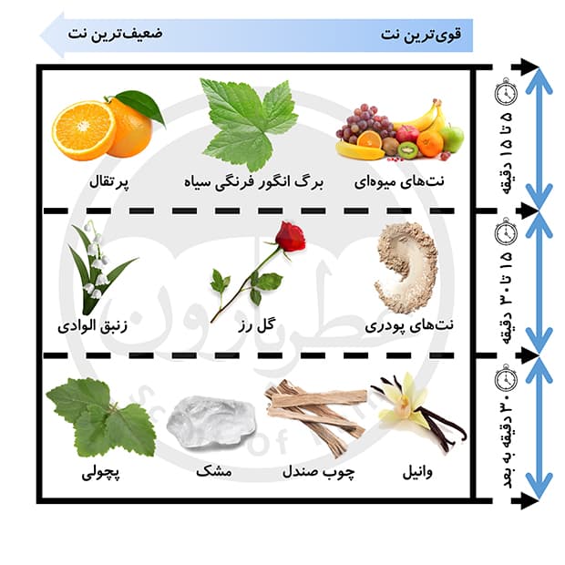 دئورولان زنانه عمادآرا ساگا پینک حجم 50 میلی‌لیتر — تصویر ۵