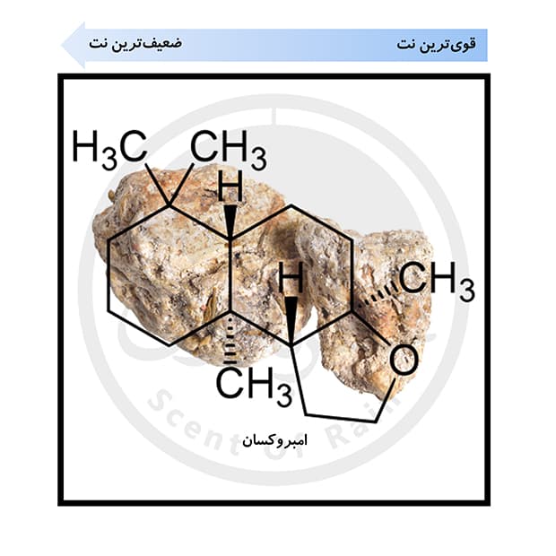 ادوتویلت مردانه عمادآرا لجند اسپرت حجم 30 میلی‌لیتر — تصویر ۵