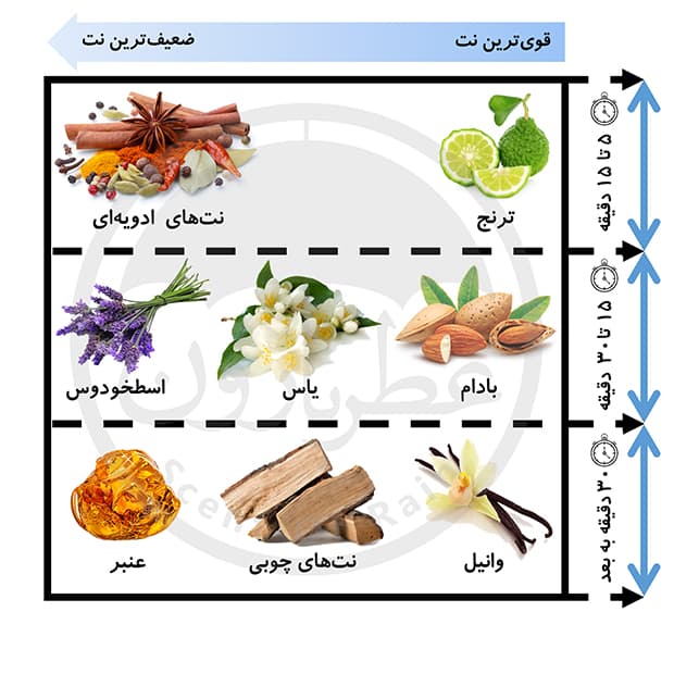 تستر ادوپرفیوم مردانه پاکوراکا هات سنس حجم 100 میلی‌لیتر — تصویر ۵