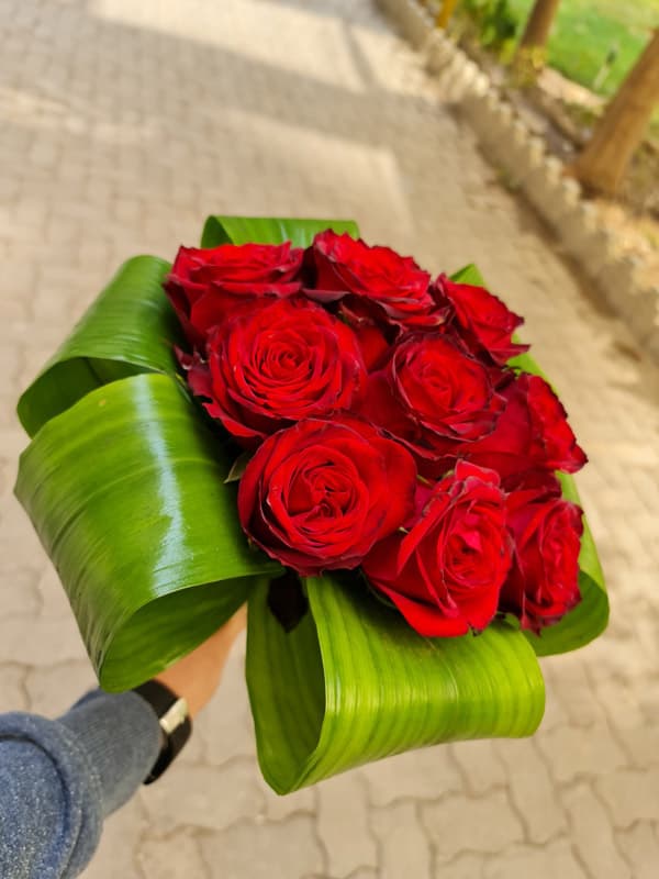 دسته گل 10 شاخه رز هلندی کد 177 – گل فروشی آنلاین رزگاردن