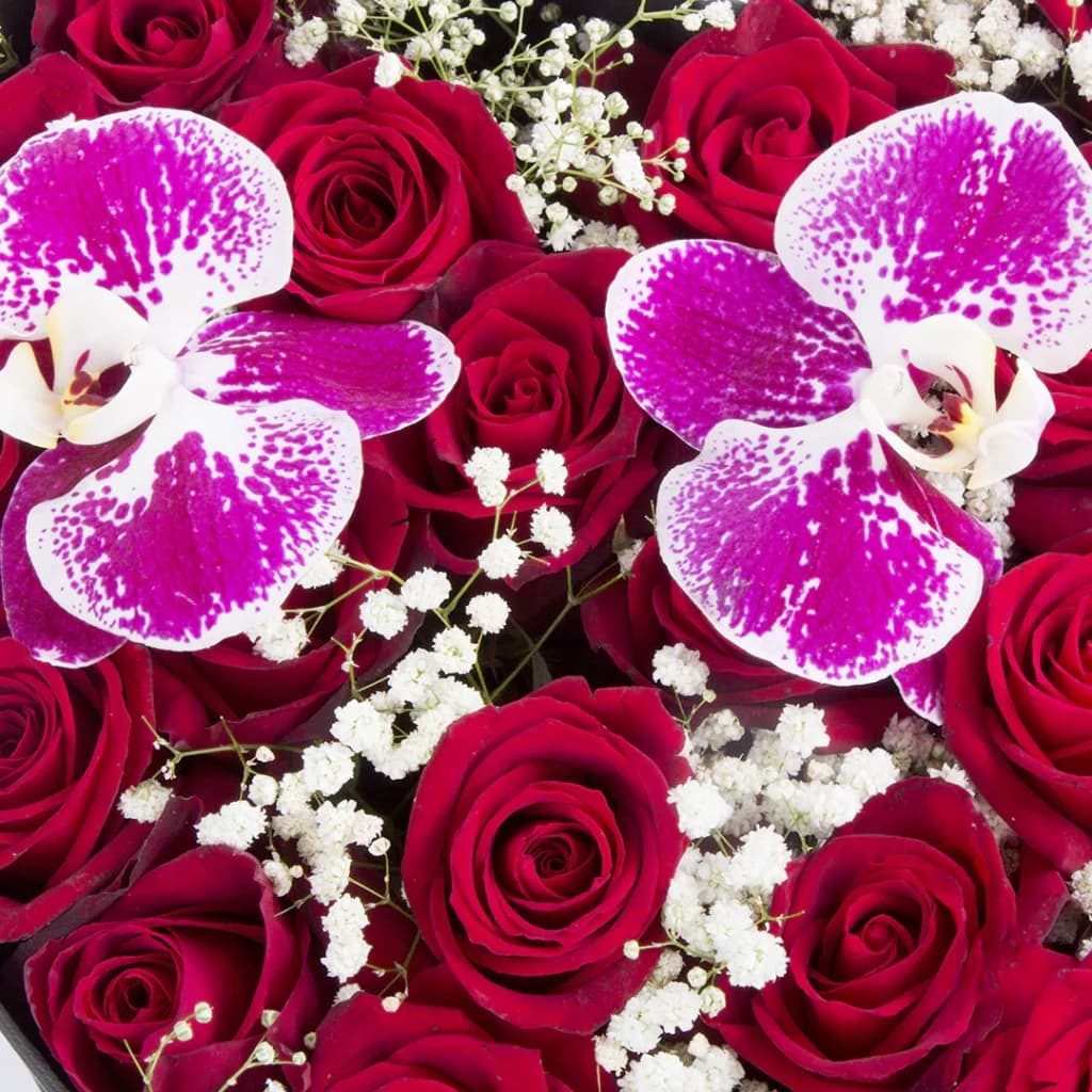 باکس گل رز هلندی قلب – کد 2250 — تصویر ۷