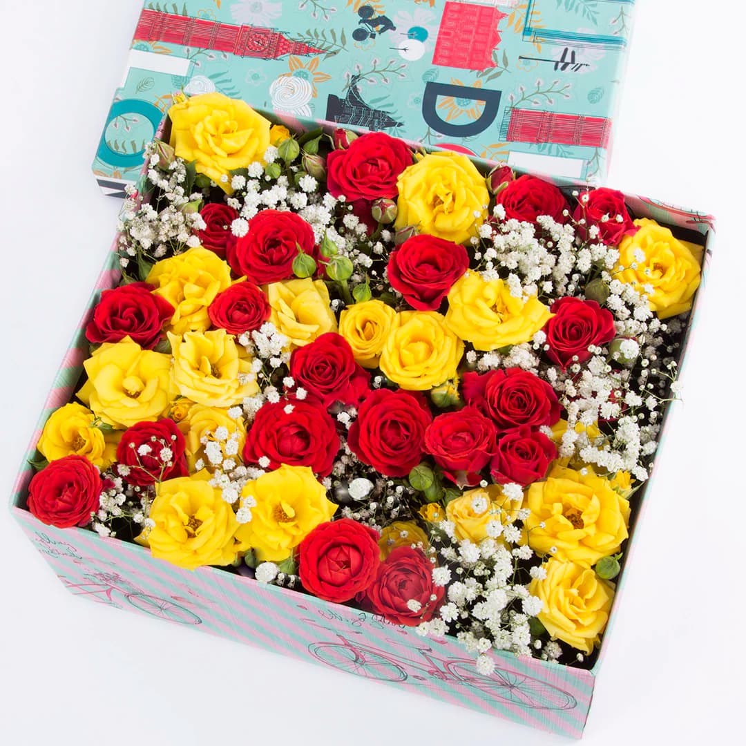 باکس گل رز مینیاتوری – کد 2290 — تصویر ۲
