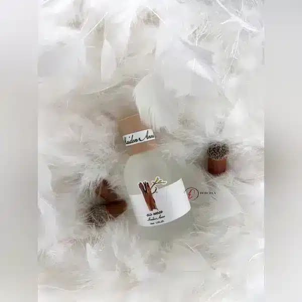 عطر بیکینی و مو میدن انا رایحه چوب old wood حجم 50 میل — تصویر ۴