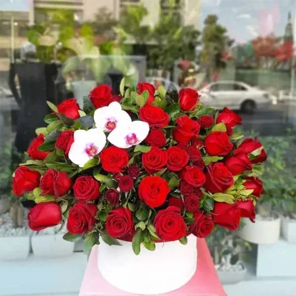 باکس گل رز قرمز هلندی روژان – فروشگاه آنلاین گل فلوشا