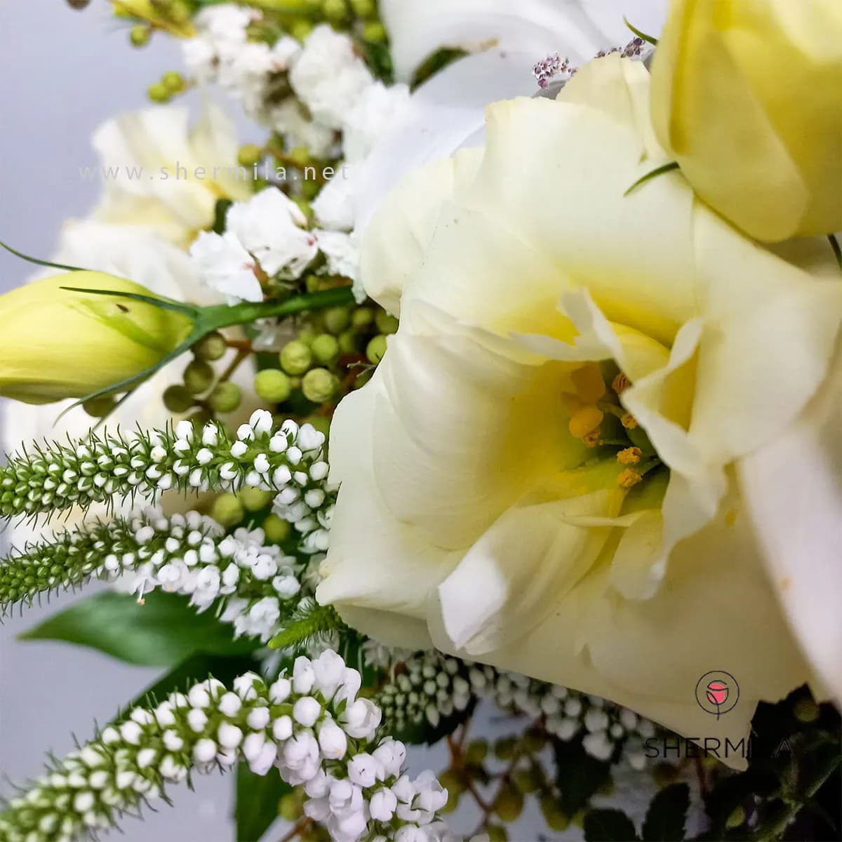 باکس گل نازنین — تصویر ۶