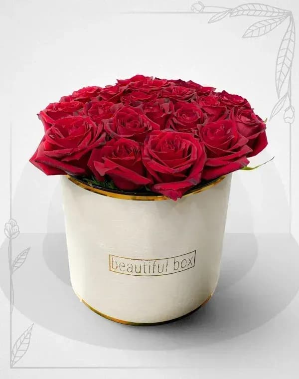 باکس گل رز قرمز 20 شاخه