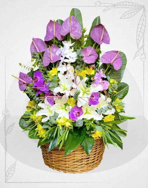 سبد گل رویای بهار