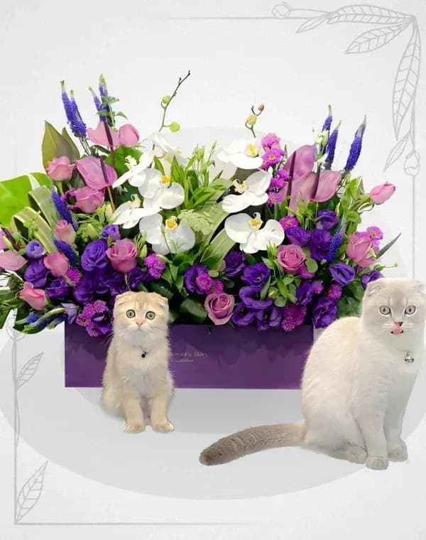باکس گل جشن رنگ‌ها — تصویر ۳