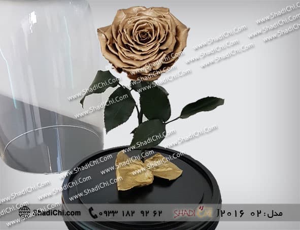 رز جاودان طلایی — تصویر ۶