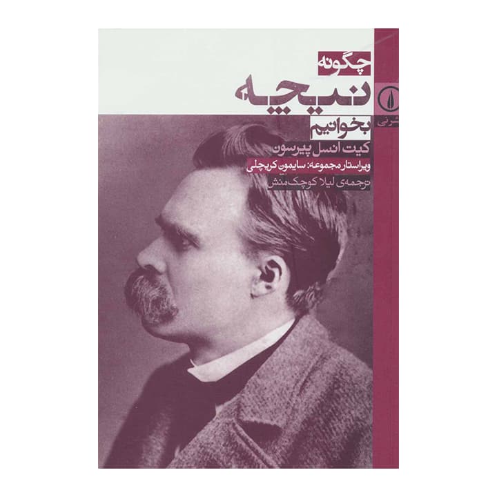 کتاب چگونه نیچه بخوانیم