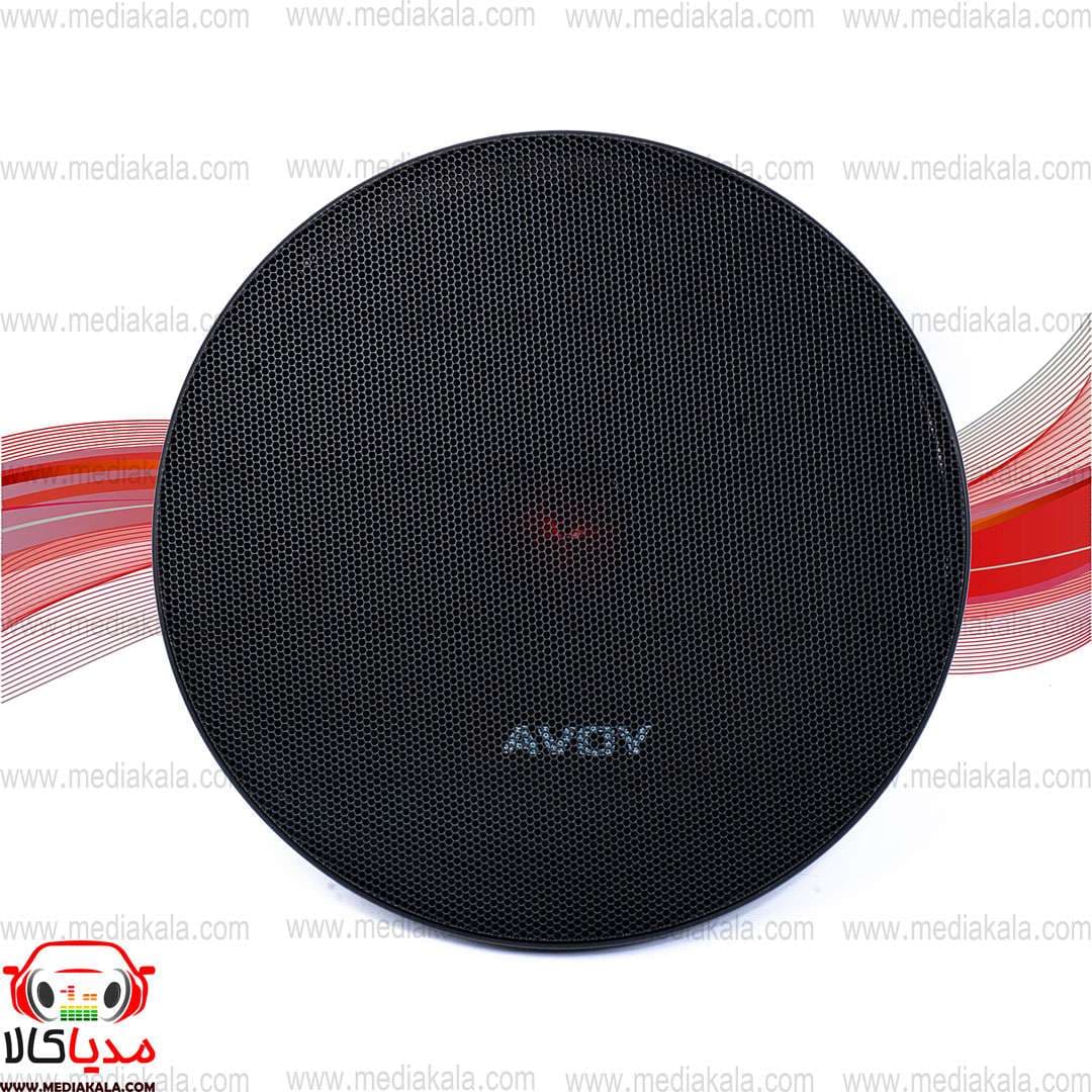 میدرنج ۱۰ اینچ savoy ساووی مدل SV-1010 دو عددی