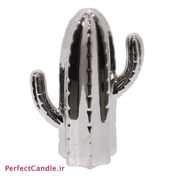 کاکتوس دکوری نقره ای — تصویر ۲