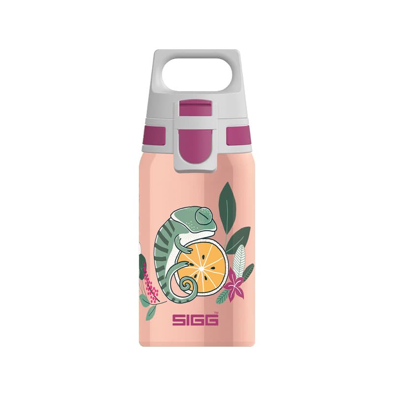 قمقمه سیگ مدل فلورا – Sigg Shield One Flora 0.5 L — تصویر ۴