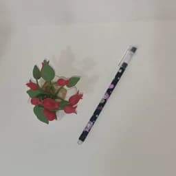 خودکار پاک کن دار در طرح های مختلف — تصویر ۳