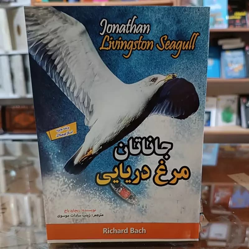 جاناتان مرغ دریایی — تصویر ۱۲