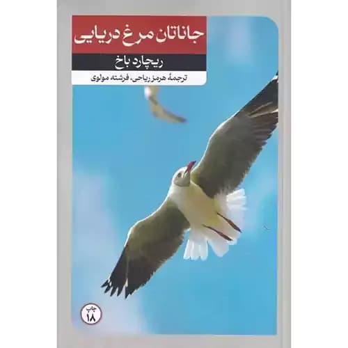 جاناتان مرغ دریایی — تصویر ۶
