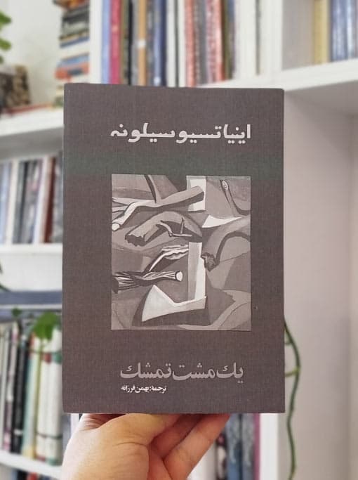 یک مشت تمشک