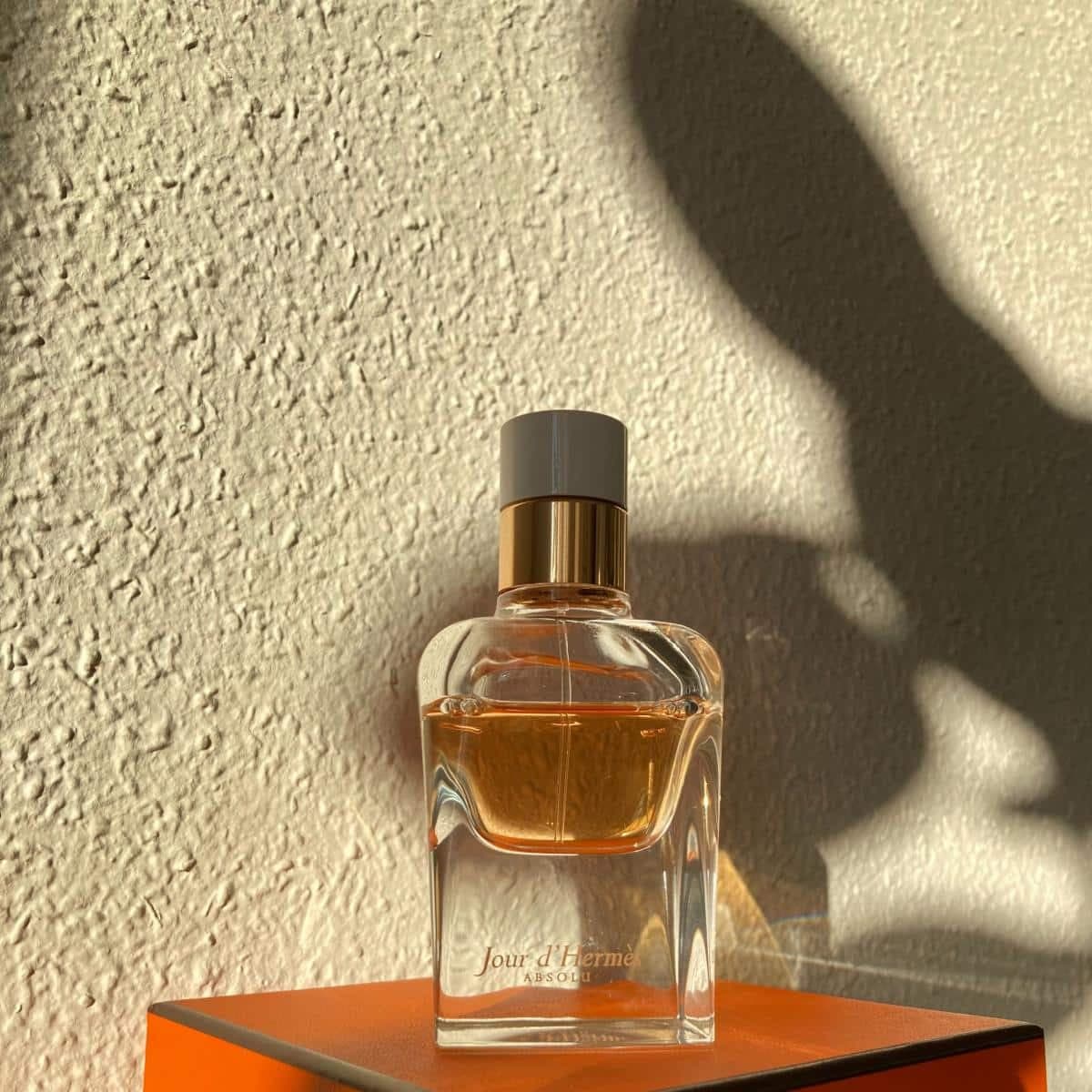 عطر ادکلن هرمس ژور دهرمس ابسولو اصل | Hermes Jour d`Hermes Absolu 85 ml — تصویر ۷