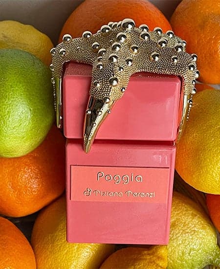 عطر ادکلن تیزیانا ترنزی پوجیا اصل | Tiziana Terenzi Poggia 100 ml — تصویر ۹