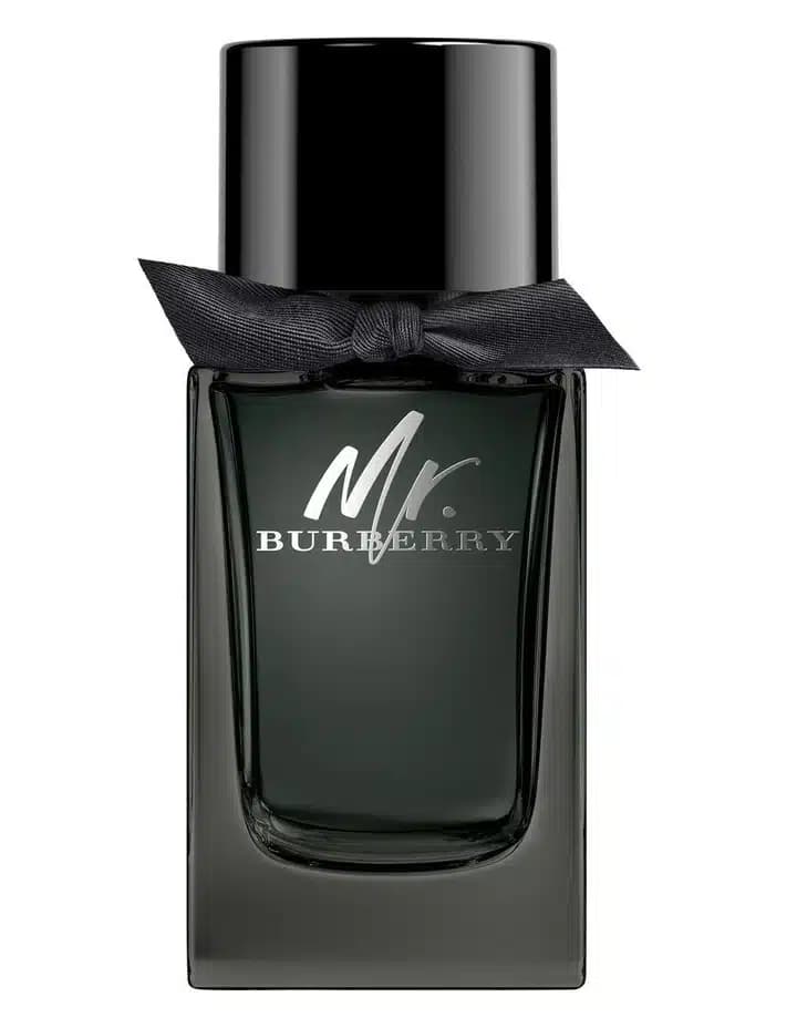 ادکلن باربری مستر باربری ادو پرفیوم اصل | Burberry Mr. Burberry Eau de Parfum 100 ml — تصویر ۳