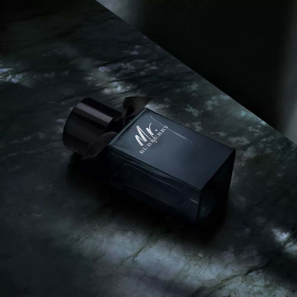 ادکلن باربری مستر باربری ادو پرفیوم اصل | Burberry Mr. Burberry Eau de Parfum 100 ml