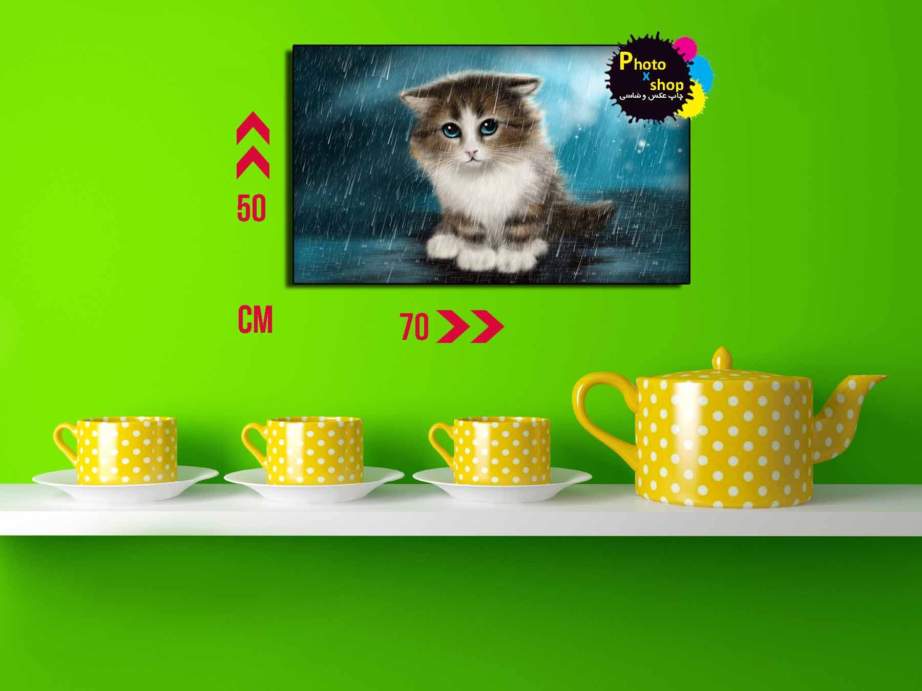 تابلو دکوراتیو طرح گربه