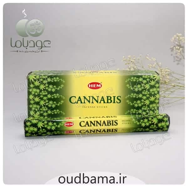 عود شاهدونه CANNABIS کانابیس ( هم HEM ) — تصویر ۴